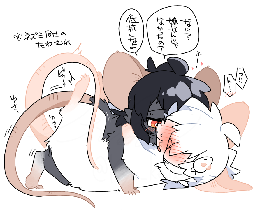 ネズミのたわむれ
#白黒代理 