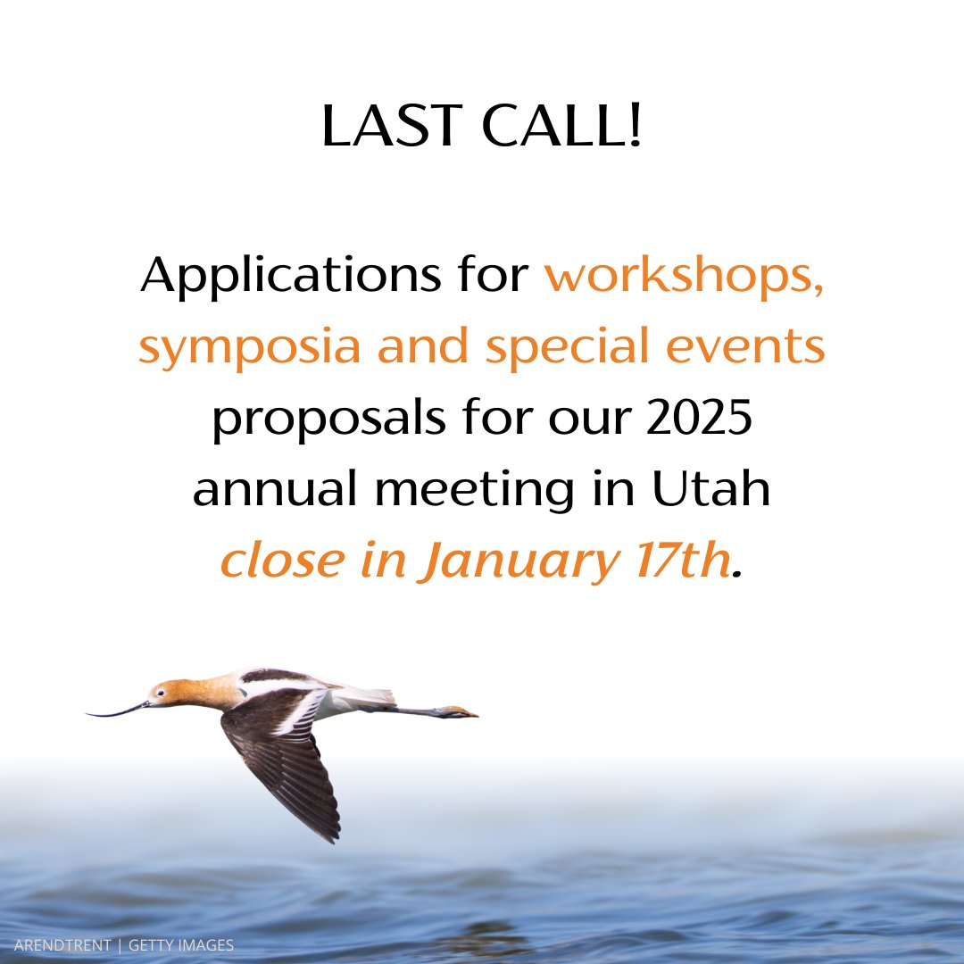 Association of Field Ornithologists tweet media