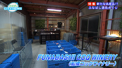 jcom_chiba's tweet image. #ふなばしCITYNEWS 1月15日からの放送は 特集「新たな名産品！？ふなばし酒処めぐり」船橋市内唯一のビール醸造所🍺 #船橋ビール醸造所 や千葉県初の都市型ワイナリー🍷 #FUNABASHI COQ WINERY を紹介します
広報番組 www2.myjcom.jp/special/jch/go…　 毎日正午から地デジ11Chで放送 #船橋市 公式YouTube配信