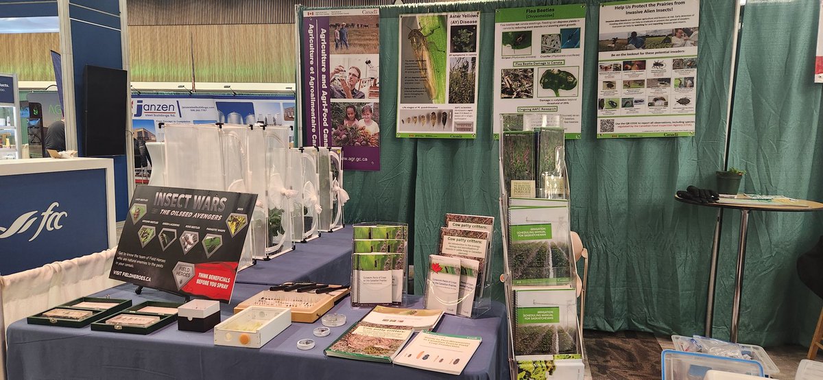 TylerWist1's tweet image. Bugs and plants @AAFC_Canada 's #cropproductionshow and the opportunity to talk to an #entomologist!