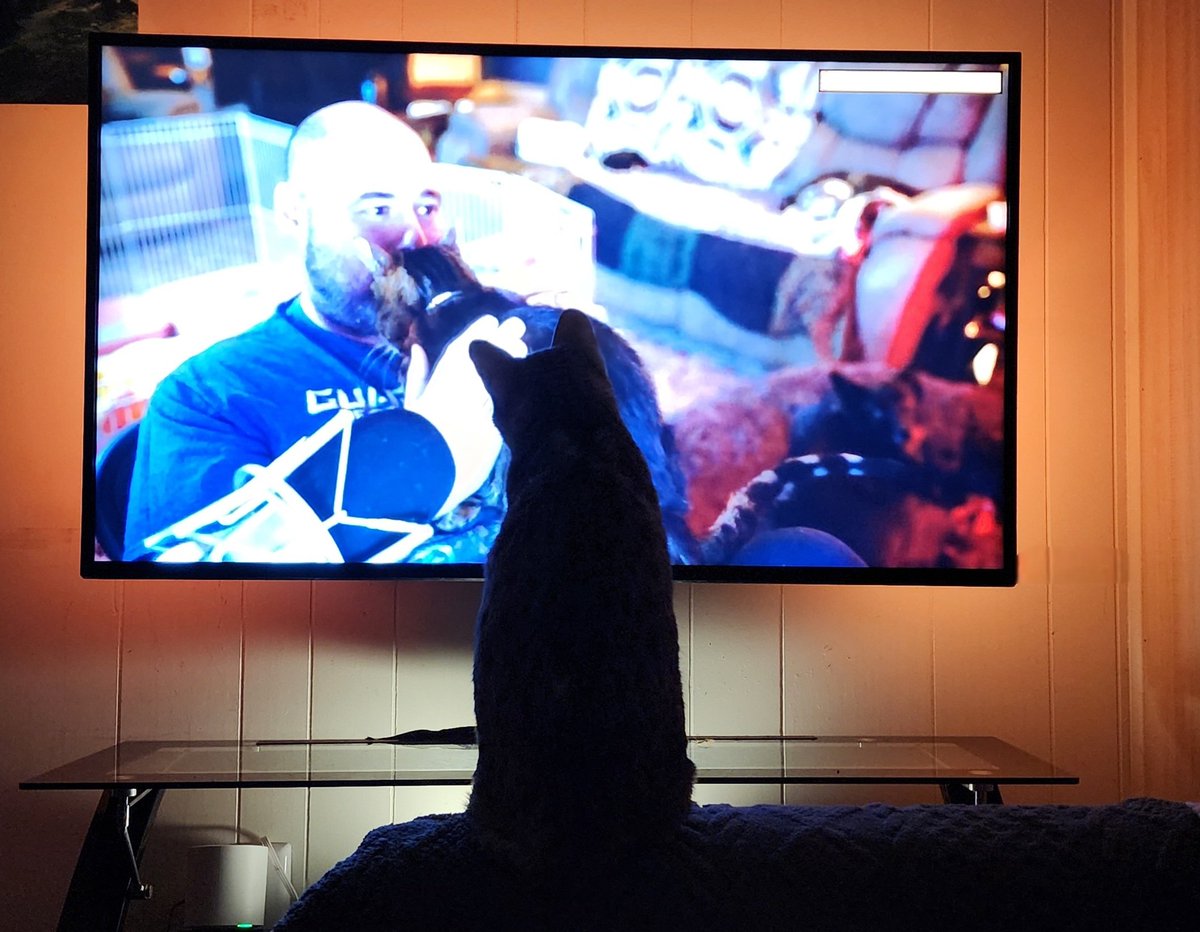 Isscaryot's tweet photo. @BikeMan My son, watching you and your son, the other night. lol https://t.co/qroIahNLup