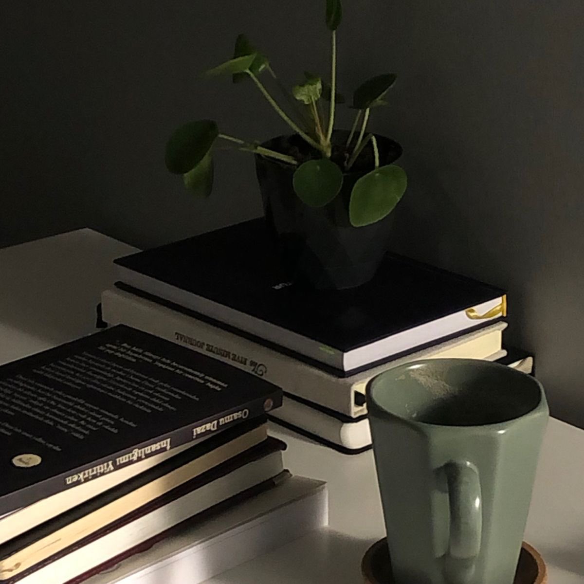 lisabellrose's tweet image. *:･ೀ⋆ 📖 𝒍𝒊𝒗𝒐𝒔 𝒍𝒊𝒅𝒐𝒔 𝒆𝒎 𝟐𝟎𝟐𝟓 ⋆.ೃ࿔*:･
                       ੈ  𝑎 𝑡𝘩𝑟𝑒𝑎𝑑:  ੈ

“l𝘦𝘳 𝘦́ 𝘶𝘮 𝘩𝘰𝘣𝘣𝘺, 𝘮𝘢𝘴 𝘱𝘢𝘳𝘢 𝘢𝘭𝘨𝘶𝘯𝘴 𝘥𝘦 𝘯𝘰́𝘴 𝘦́ 𝘶𝘮𝘢 𝘧𝘰𝘳𝘮𝘢 𝘥𝘦 𝘦𝘴𝘤𝘢𝘱𝘢𝘳 𝘥𝘢𝘴 𝘥𝘪𝘧𝘪𝘤𝘶𝘭𝘥𝘢𝘥𝘦𝘴 𝘲𝘶𝘦 𝘦𝘯𝘧𝘳𝘦𝘯𝘵𝘢𝘮𝘰𝘴”