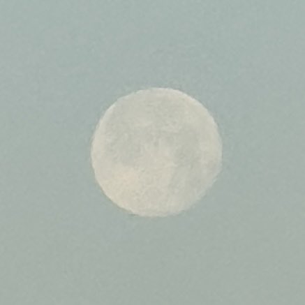 Masamichi Katayama tweet media