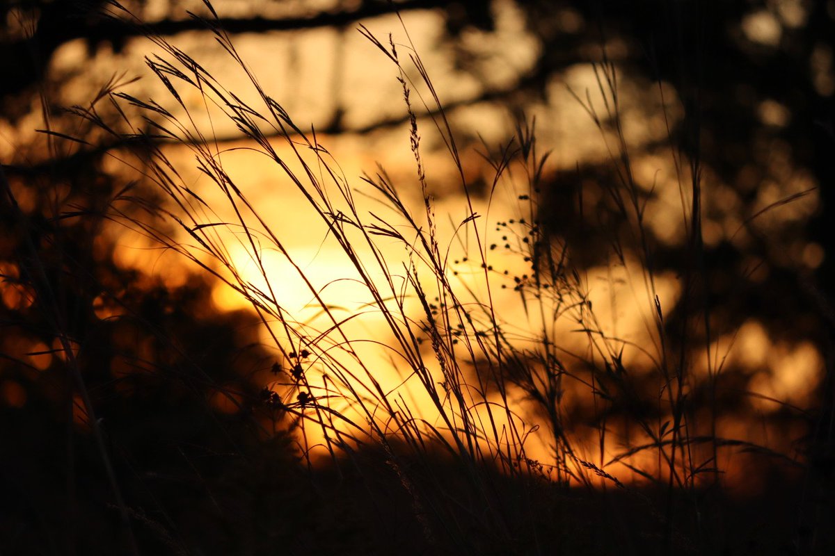 jake bender tweet media