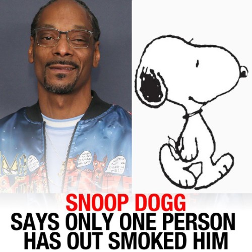 esnupi (@esnupicore) on Twitter photo 