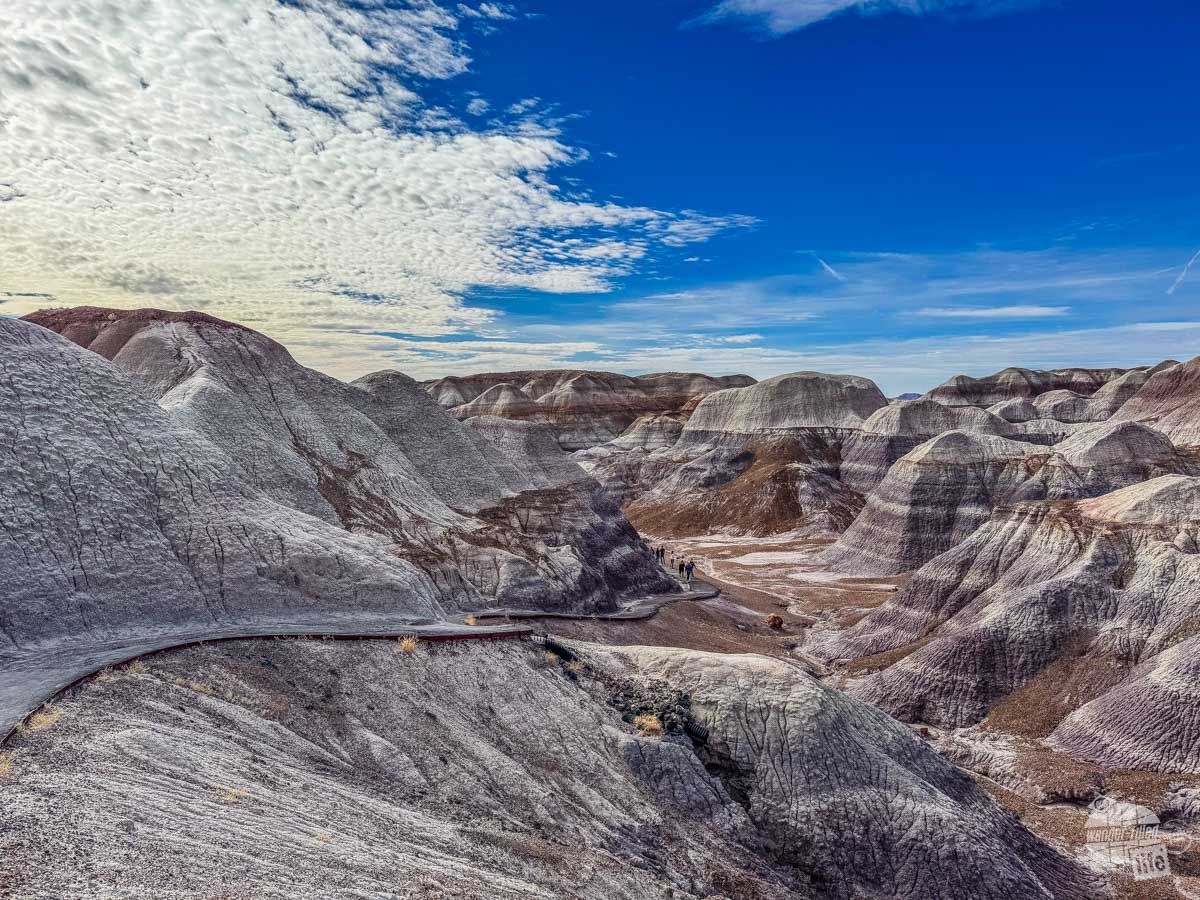 Wander-Filled Life tweet media