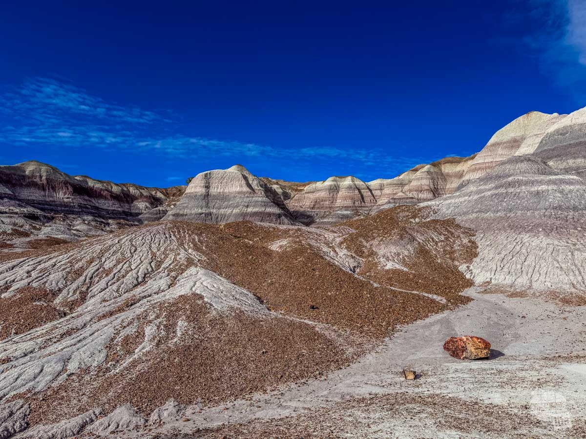 Wander-Filled Life tweet media