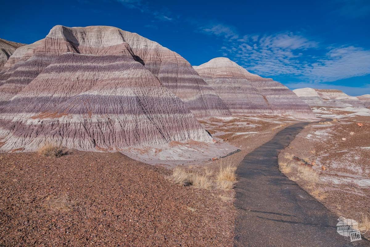 Wander-Filled Life tweet media