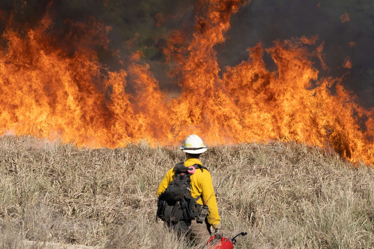 Fire suppression has led to severe fires &amp; ecological changes. Human-ignited fire in wilderness areas, through prescribed burning &amp; Indigenous cultural burning, can help restore ecosystems. Learn more on how to ignite some change with Science You Can Use: research.fs.usda.gov/rmrs/products/…