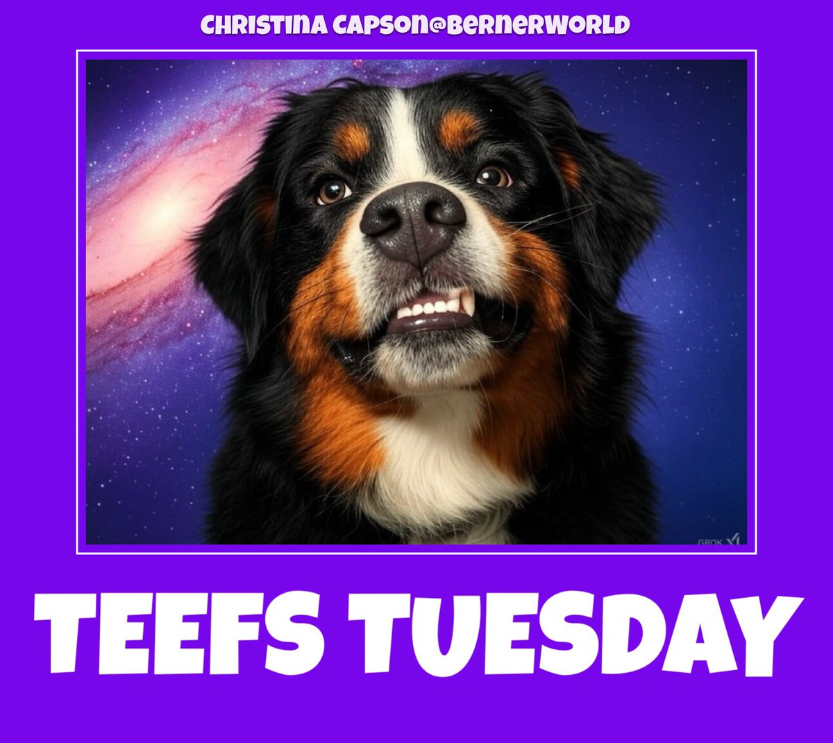 BernerWorld's tweet image. Join us @ Berner World on Facebook