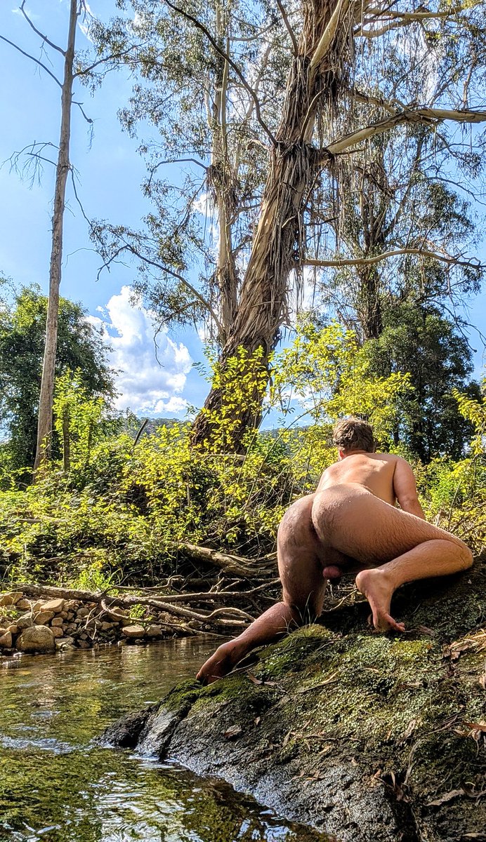 the_Gr8handcock's tweet photo. RT this and you can fuck me https://t.co/O50kPCzREI