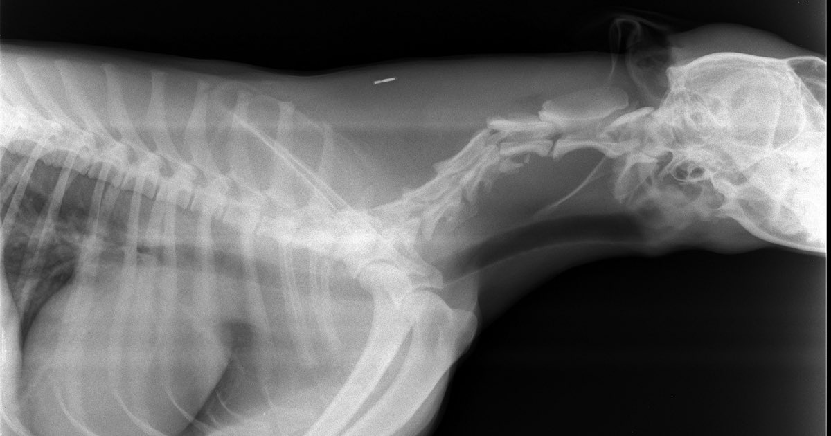 Like…. it’ aint even that bad, steve🙄 #crazyuncle #sexoffenderuncle