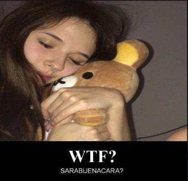 maia online (@spookyripgang) on Twitter photo 