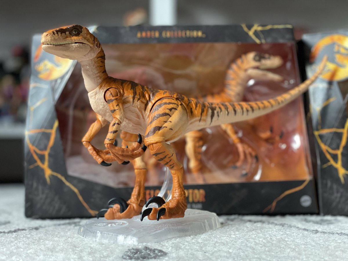 amber collection tiger raptor