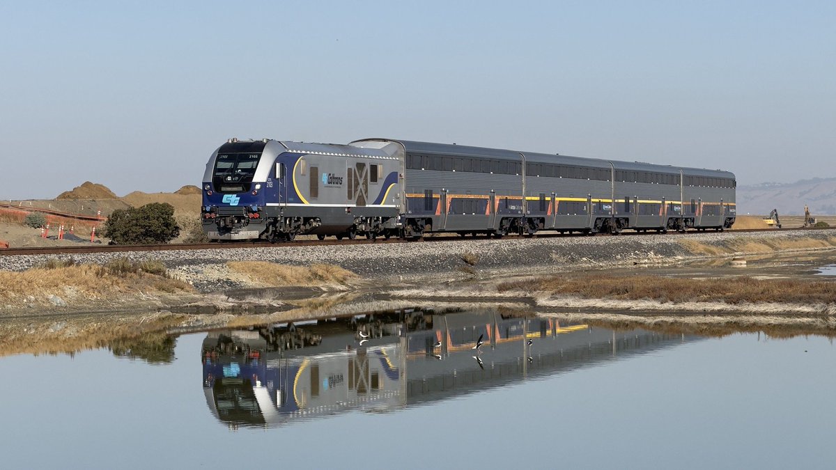 Chris 🦝 tweet media