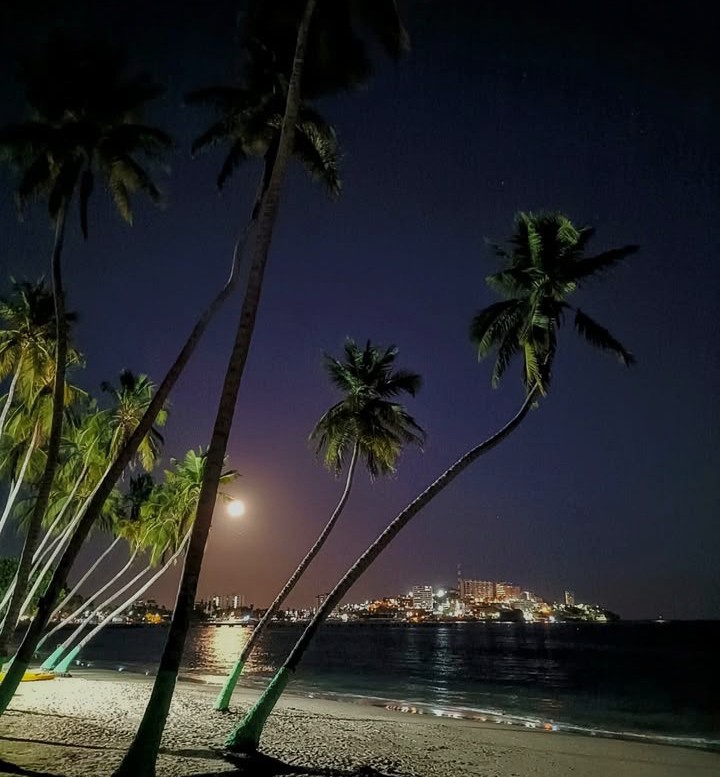 Margarita en la noche 😍