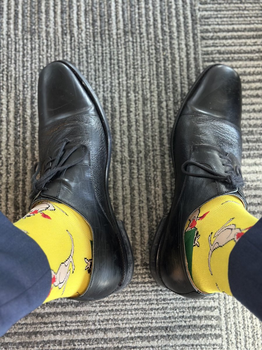 💯Tim💯 tweet media