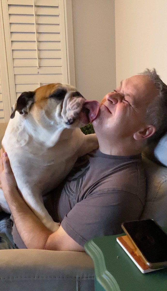 A little late but this tongue out Tuesday just happened! Nothing like bulldog love!❤️😂