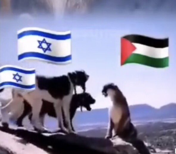 جسدي لألاف الجراح سيحتمل
لكن غزة جرحها لايندمل

جرح الخيانة بات جرحاً قاتلاً
وجدارها من حول غزة يكتمل

فخيانة الاخ الشقيق مصيبةٌ
اثارها في القلب ناراً تشتعل

لكن غزة رغم هذا تنتصر
والخائن الملعون ينظر منذهل

وعدوها رغم التفوق لم يعد
يقوى على ذاك الصمود ويحتمل

#غزه_تقاوم_وتنتصر