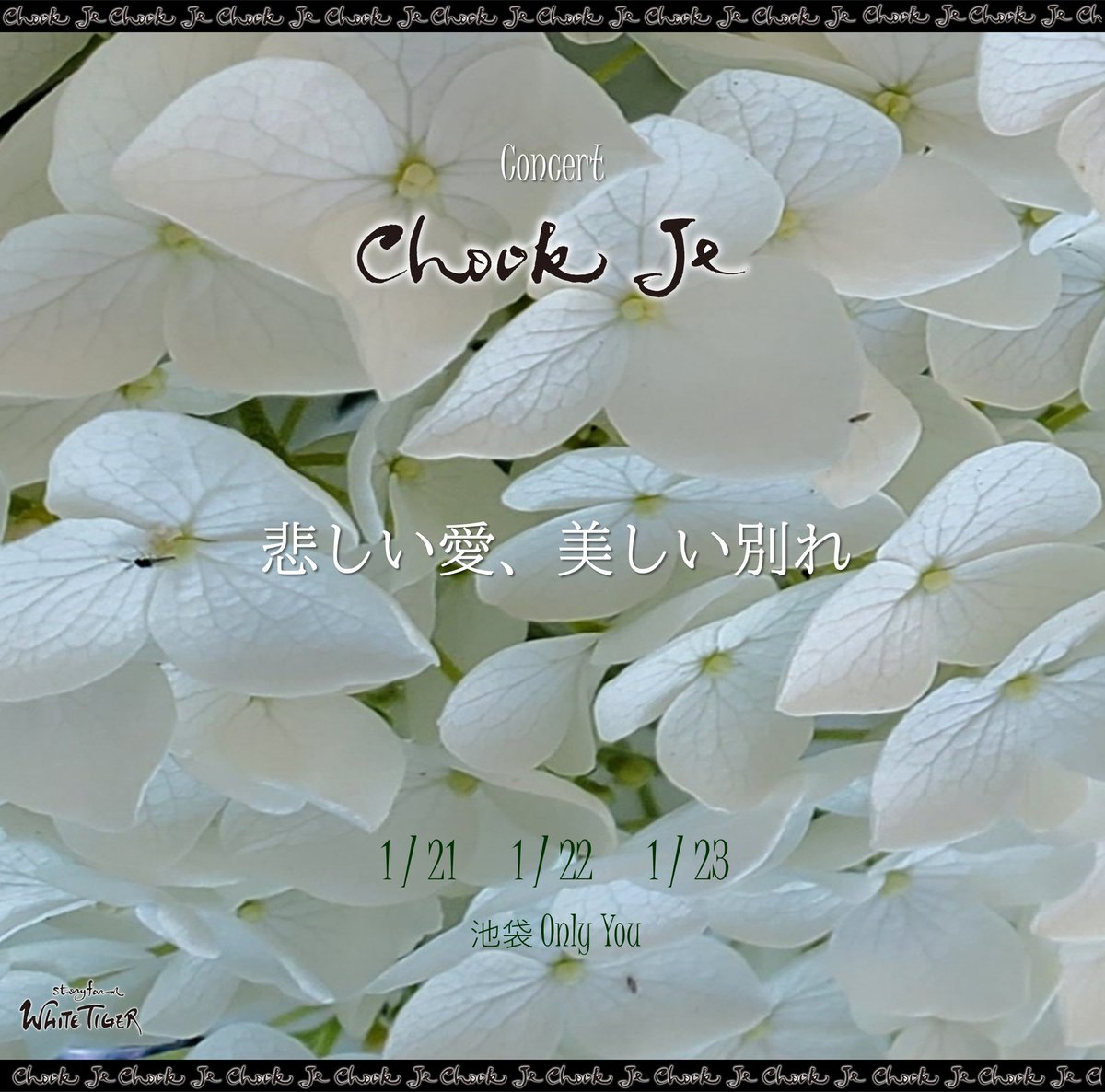 Concert～CHOOK JE
「悲しい愛、美しい別れ」
✨　✨　✨
1/21、14時🆓無料公演🆓
❣️参加者全員❣️
🎁プレゼント🎁

🎁特製ブロマイド（L）
・グッズ扱い / ・非売品

🎁CHOOK JE 商品券
・５００円分
・グッズや特典券の購入の際に！
・1/21の夜公演から使えます

💛詳細⏩️ameblo.jp/story-farm-whi…