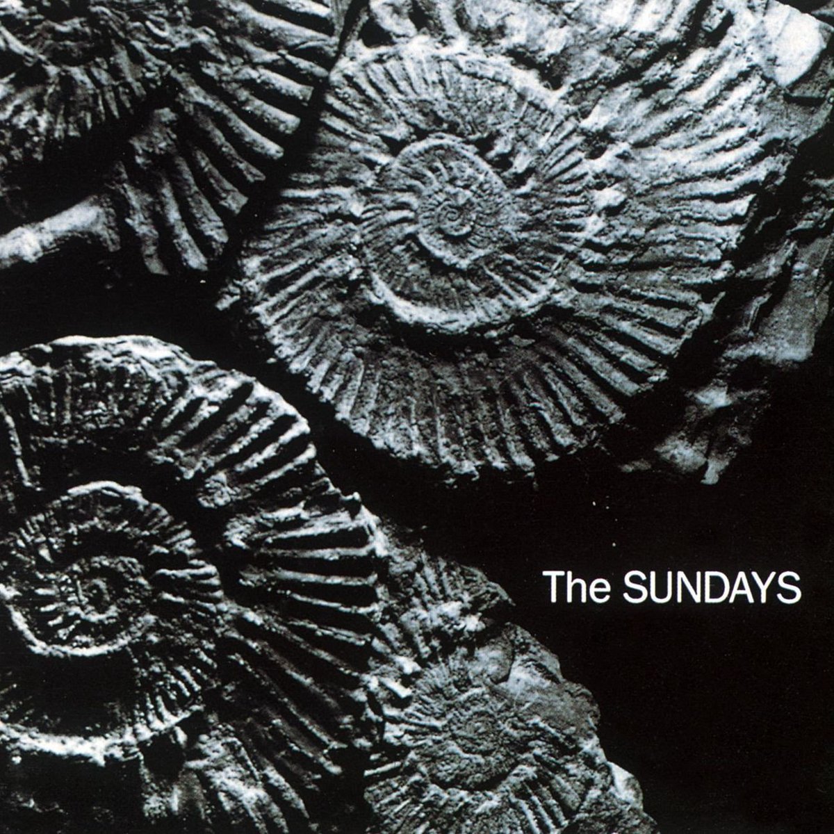 soundstoryuk's tweet photo. On this date in 1990
#TheSundays released 
their debut album.
What are your favourite 
tracks from 'Reading, 
Writing and Arithmetic'? https://t.co/yCh1bfqsFE