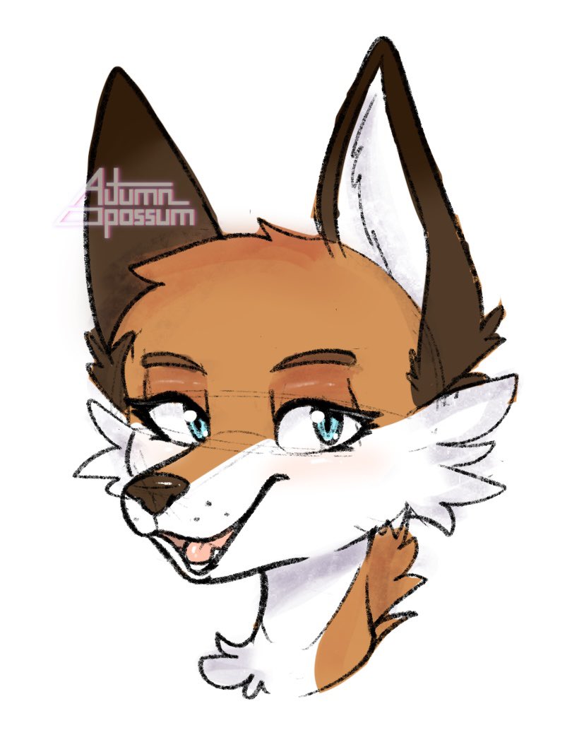 AutumnOpossum's tweet image. A little vixen warmup doodle
#furry #procreateart #drawing