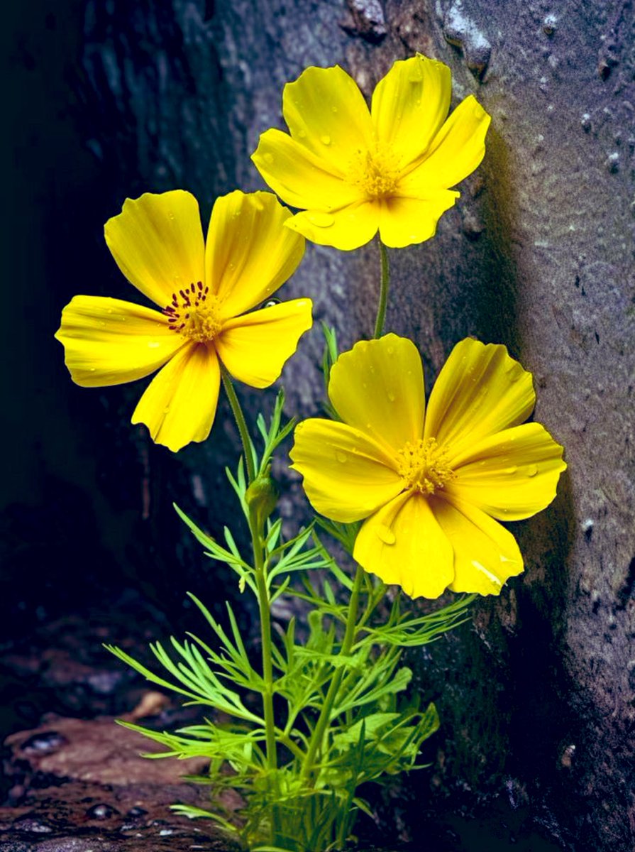 1mmyrr's tweet photo. 🦋☘️🪺
🍁🪸
🍂
🌸

-ثق بالله 
كزهرة نمَت على جانب الطريق 
لم يزرعها أحد 
ولم يسقِها أيُّ عابر 
فقط رعاها الله.🌾🍃🌸 https://t.co/QfoFOXFoQs