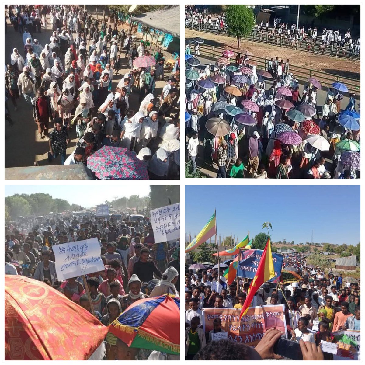 ኣብ ምዕራብ ትግራይ ፣ ህዝብና ቐቲሎም ኣፈናቒሎም ፣ መረበትና መንጢሎም እንትውድኡ ፣ ብዝተፈላለየ ጊዜ ድማ ኸምዚኦም ዓይነት ሰልፍታት እናወፅኡ ጠቕሊሎም ኽቆፃፀርዎ ጠንኪሮም ይሰርሑ ኣለዉ። 

ኣባና ኣብ ትግራይ ድማ ፣ ህዝብናን መረበትናን