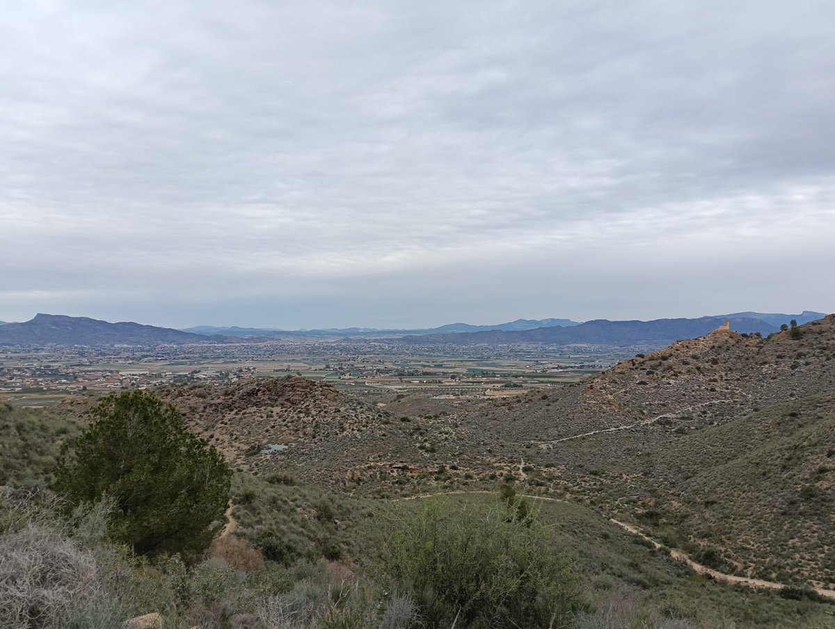 La_Carrasca's tweet image. 👉 ¡Explora con "La Carrasca" la historia de Lorca este domingo 19 de enero!
🏞️Únete a nuestra ruta senderista al Castillo de Felí. Descubre vestigios arqueológicos de la edad media y fortificaciones de la Guerra Civil con el director del Museo Arqueológico de Lorca.
#Lorca