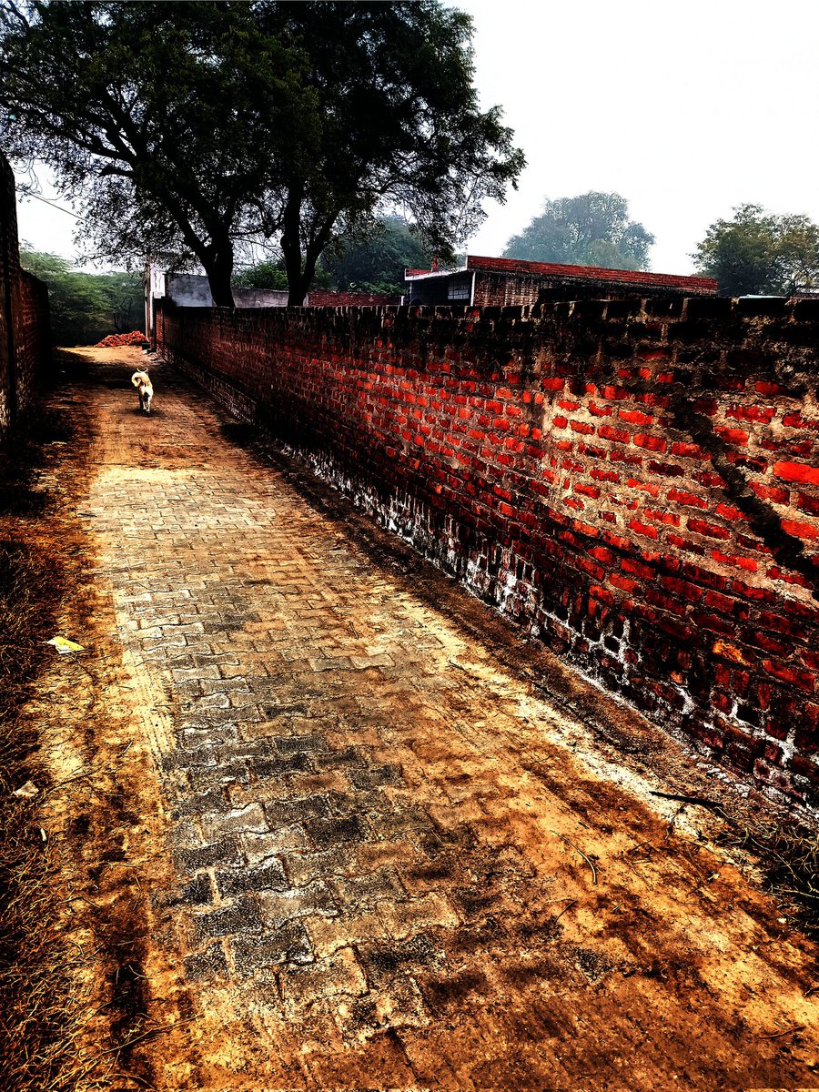 farjami_kiuma's tweet photo. Sir, in the district of Mainpuri, Tehsil Kishni, the Gram Panchayat of Chauraipur, village Asaindhi, land mafia Omkar Singh, son of Ramavtar Singh, has illegally occupied approximately 02 bighas of government land, Khasra number 2128, by constructing a house . https://t.co/edMFkAlbPQ