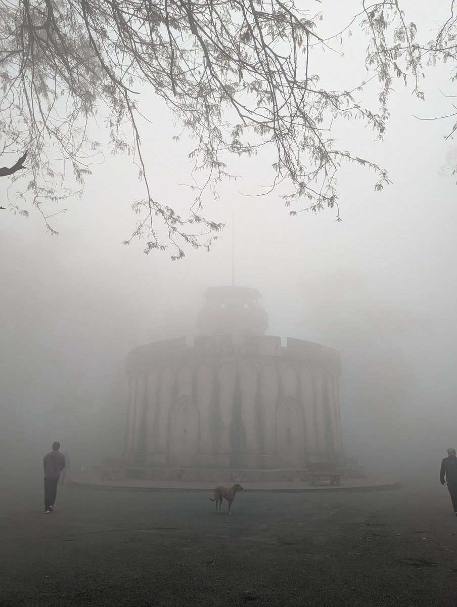 Veni Gupta tweet media