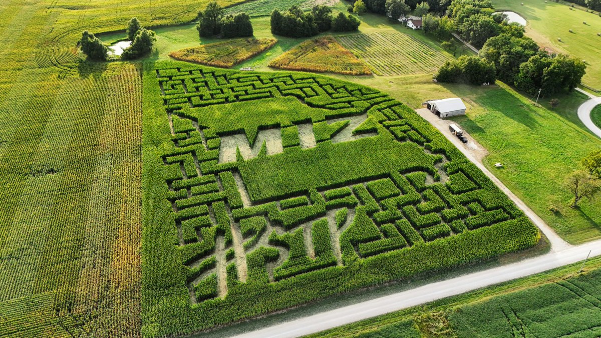 Precision Mazes tweet media