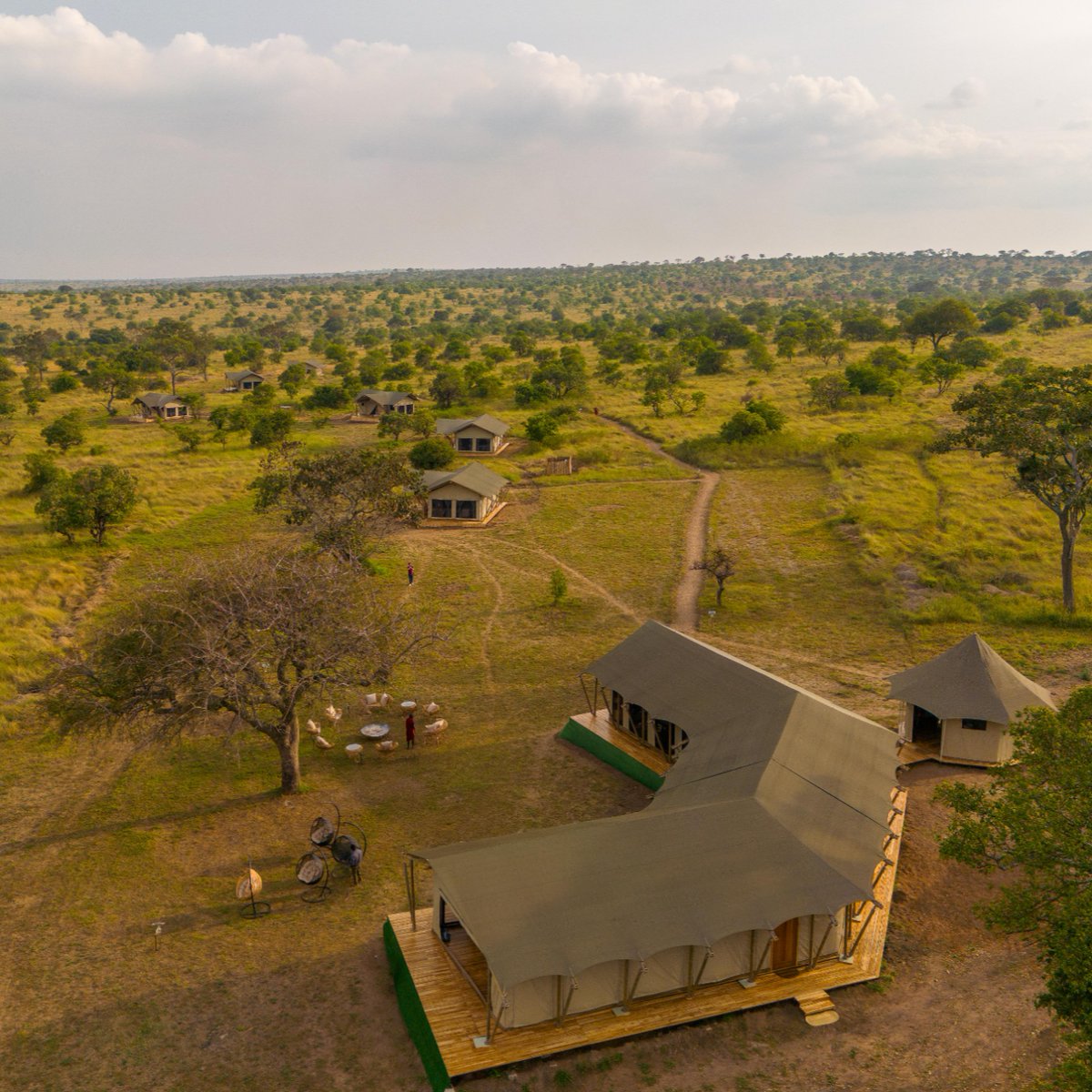 MsetoTravel's tweet photo. 🌿✨ Experience the ultimate safari getaway at Malaika Mara River Luxury Camp! 🦁🌊 Nestled on the banks of the Mara River, enjoy breathtaking views, luxurious accommodations, and unforgettable wildlife encounters. 

Book your adventure today! 🐾📅 #MaraRiver #Serengeti https://t.co/HhR3O2VTtj