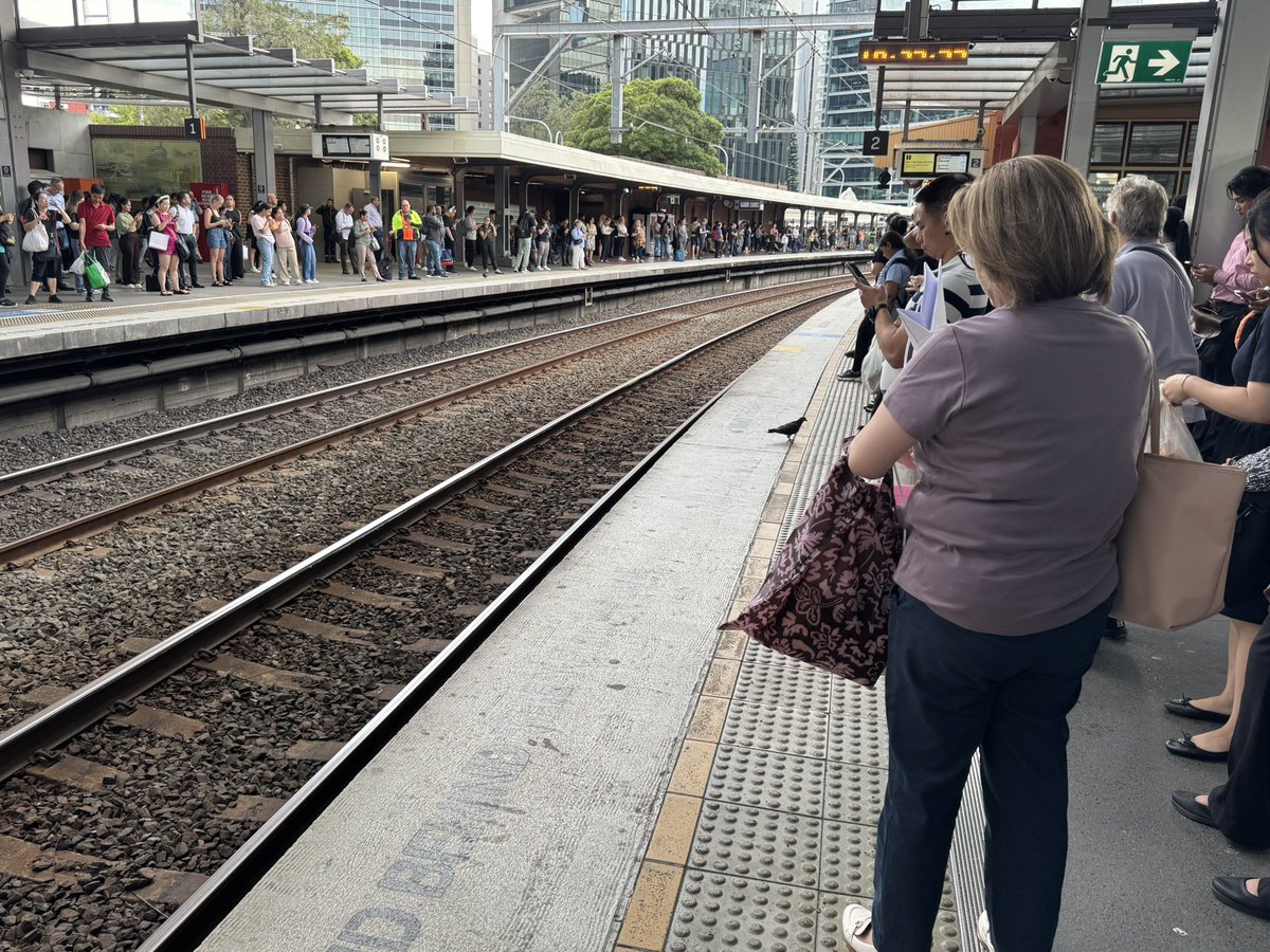 Nessisms's tweet photo. Not only are the trains running late this afternoon, the Trip View app is also not working! Who knows when the train is coming 🤷‍♀️ #sydneytrains https://t.co/kkHDN4HqWG