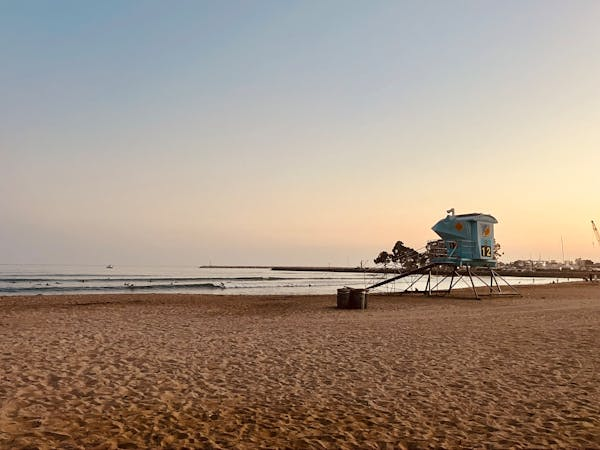 Emilio Pedral tweet media