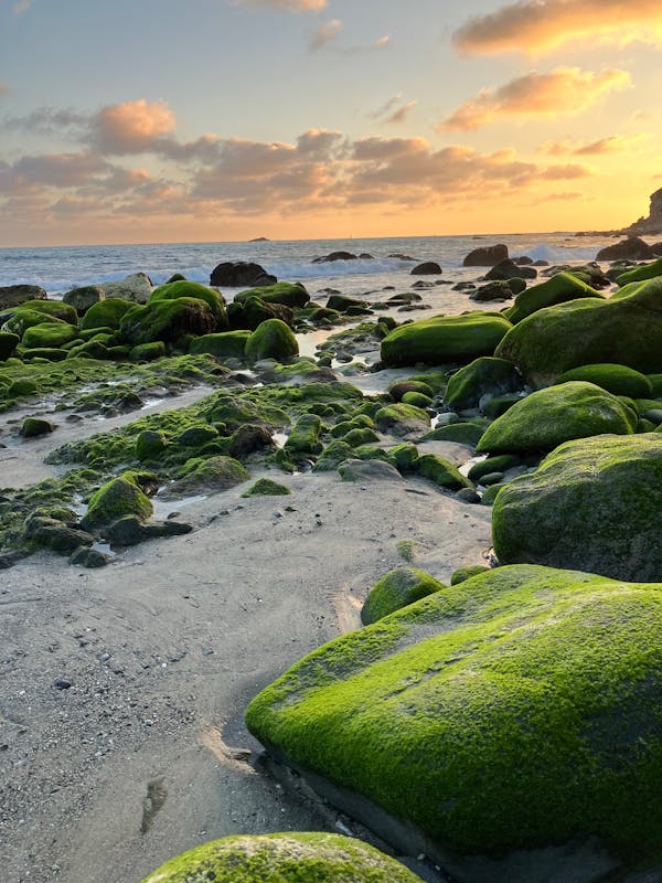 Emilio Pedral tweet media