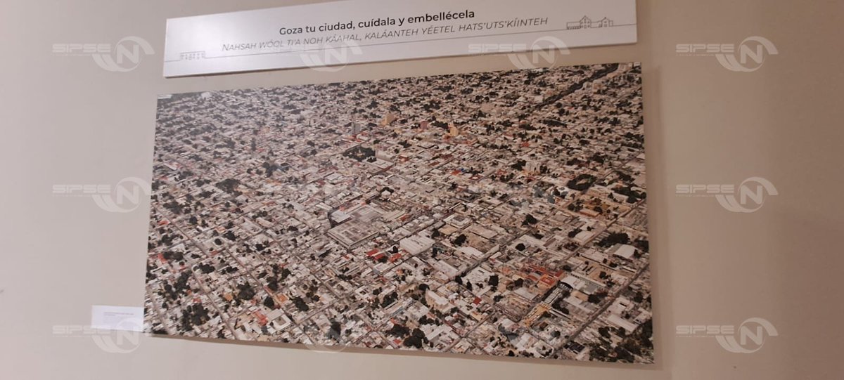 SIPSE NOTICIAS tweet media