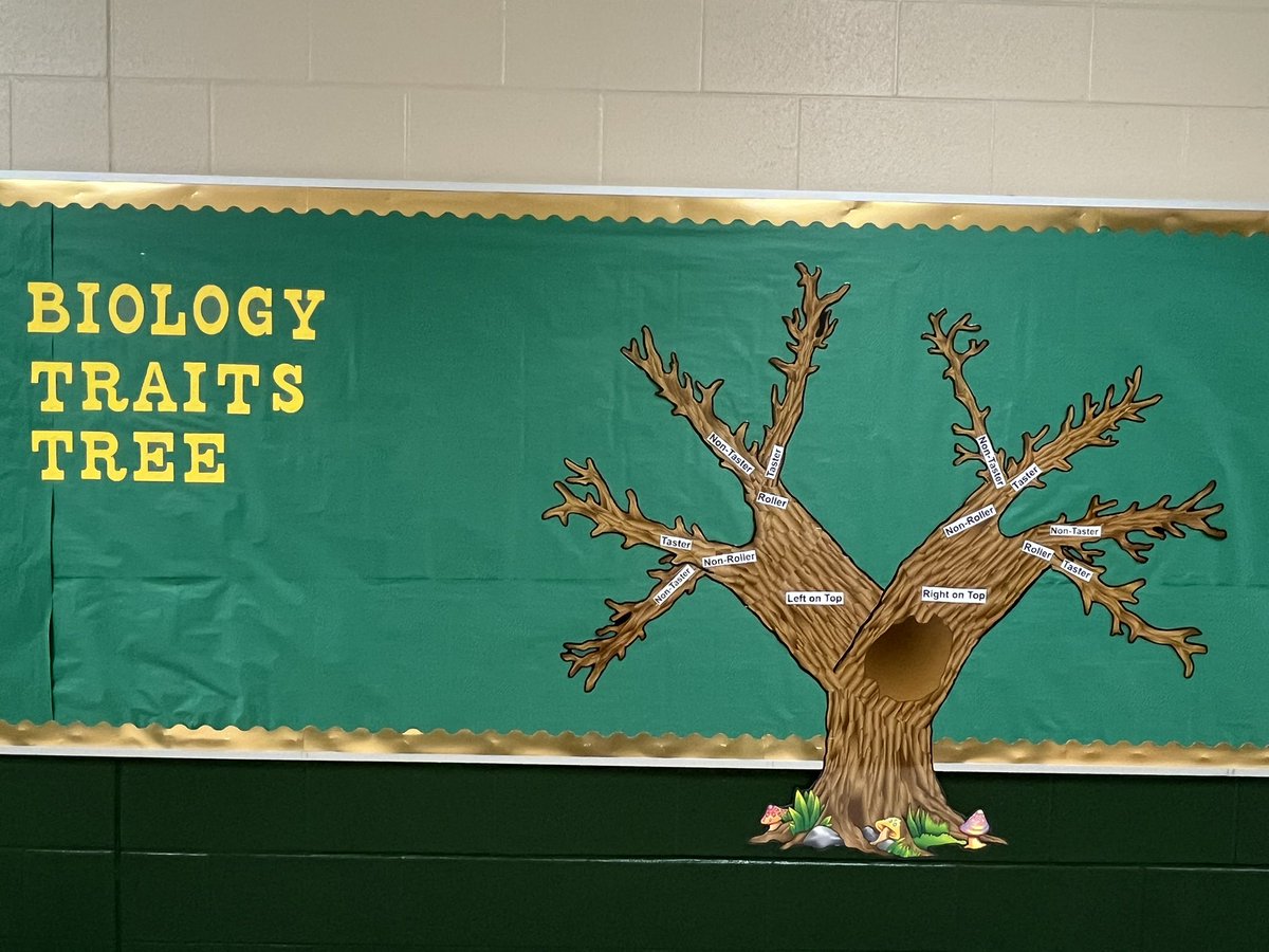 Kristen Adams tweet media