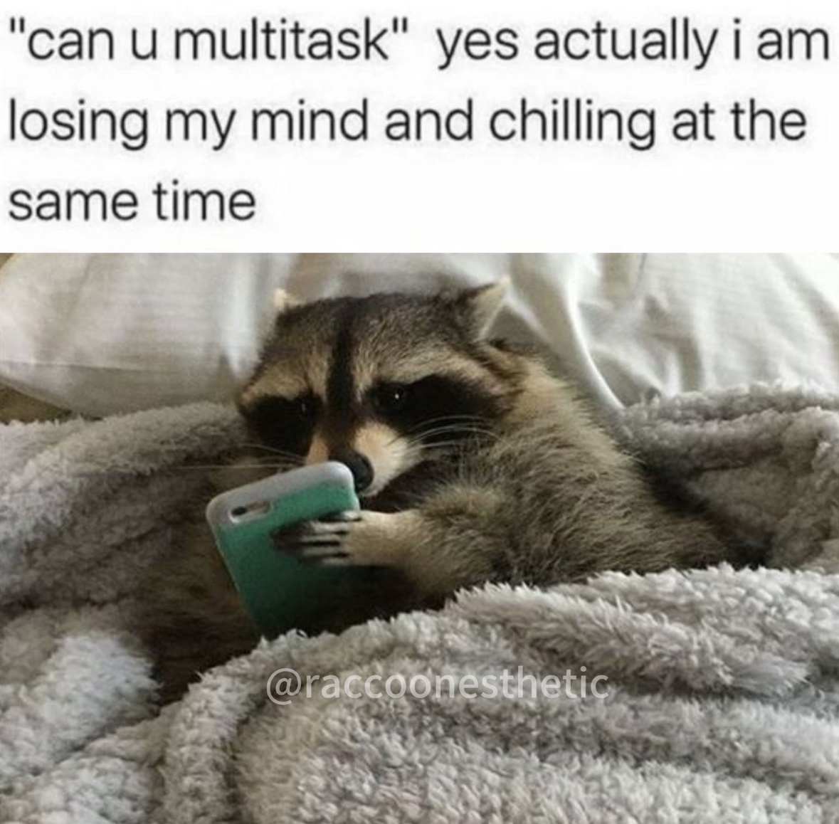 raccoonesthetic's tweet photo. https://t.co/VD2C1bgB8C