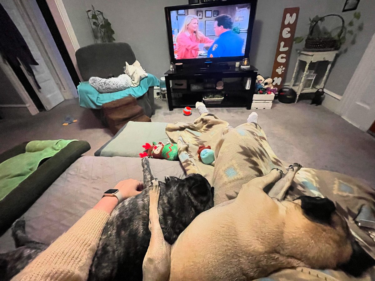DeiselPepSkip's tweet image. Just watching tv with mom. #pugs #pugsoftwitter