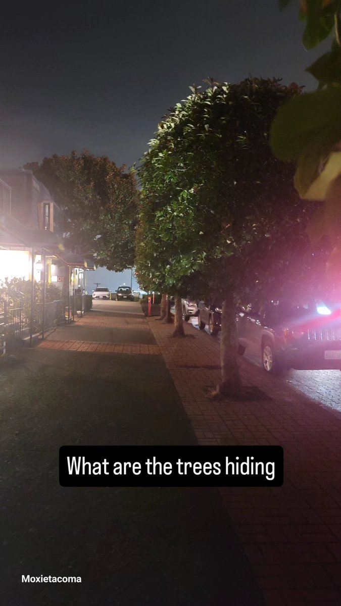 RandomUnicorn95 tweet media