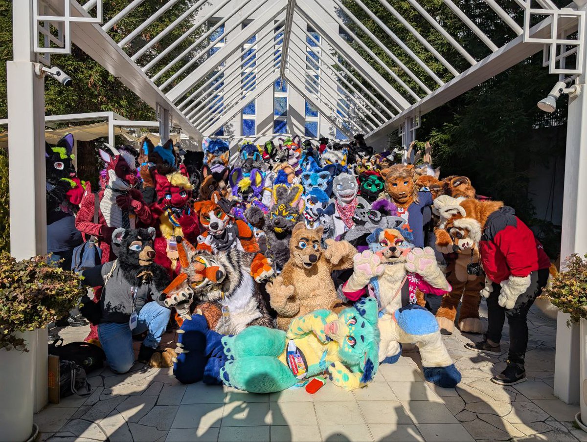 Karava Baahir 🔜 IWAG 🇮🇩 (@karavabaahir) on Twitter photo And that's a wrap for my <a href="/JMoF_en/">JMoF Executive Committee</a> !
This was my first con during my birthday and it really warms my heart to have a lot of people (who I've just met) celebrate my special day with me ❤️❤️
#furryfandom #JMoF_2025 And that's a wrap for my <a href="/JMoF_en/">JMoF Executive Committee</a> !
This was my first con during my birthday and it really warms my heart to have a lot of people (who I've just met) celebrate my special day with me ❤️❤️
#furryfandom #JMoF_2025