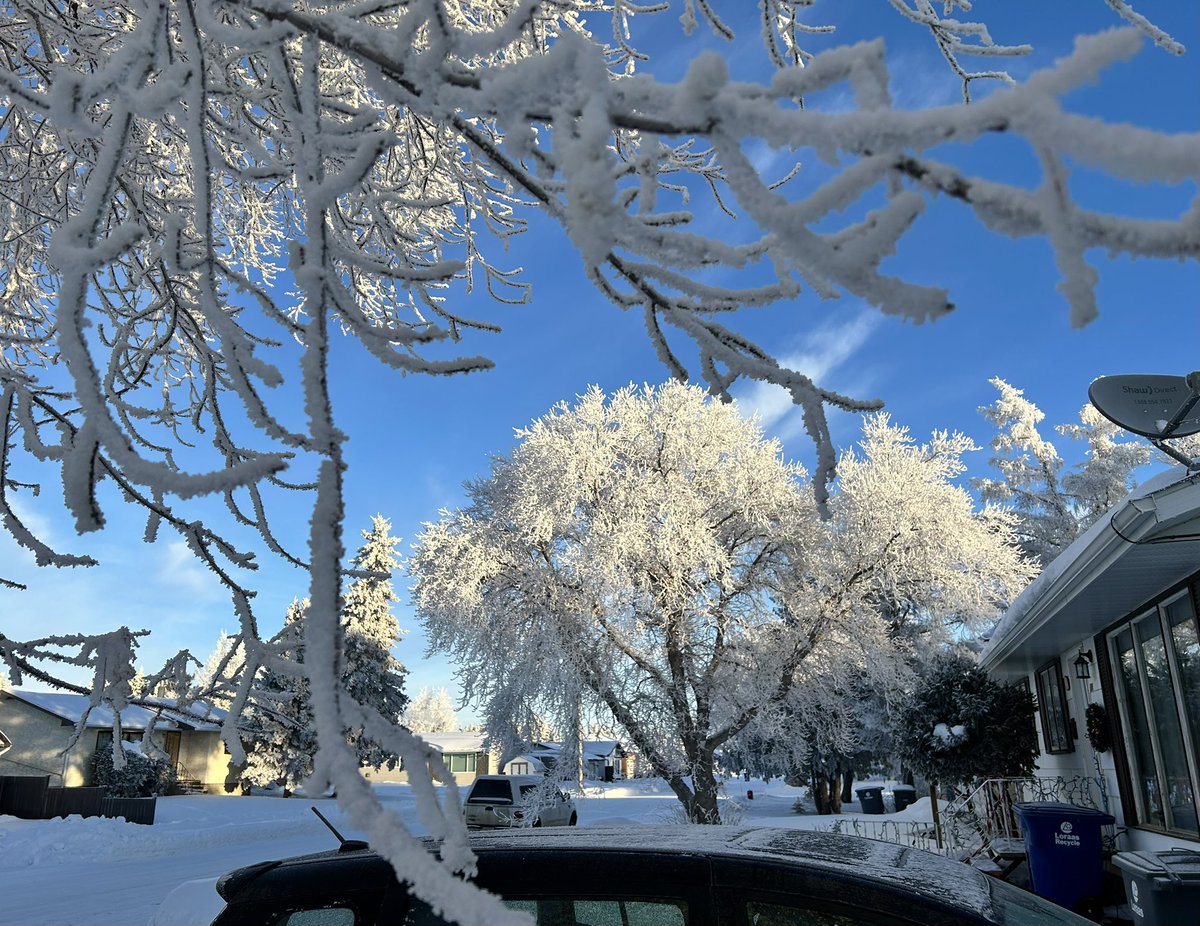 FlatlanderHank's tweet photo. Beautiful #frost managed to last all day long here in Wilkie SK Canada today.

#SaskNice https://t.co/C2nbQ6lQA3