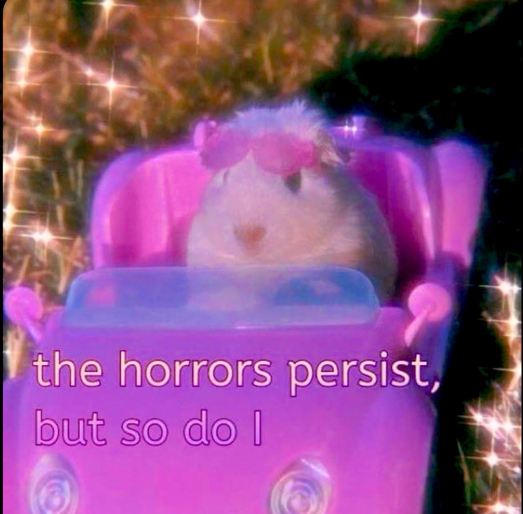 Amber Rad Plaster ✨ tweet media