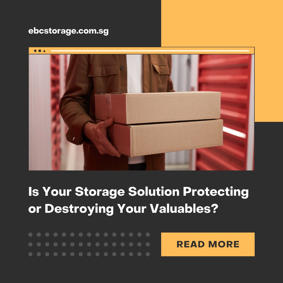 ebclifestylehub's tweet image. 🌟 Is your storage protecting your valuables or destroying them? 🌟

Discover why A/C storage is a game-changer!
👉 Read more: ebcstorage.com.sg/2025/01/is-you…

#ACStorage #StorageTips #EBCLifestyleHub