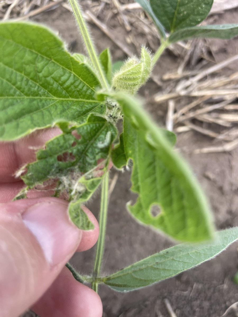 Distintos trabajos 🧐