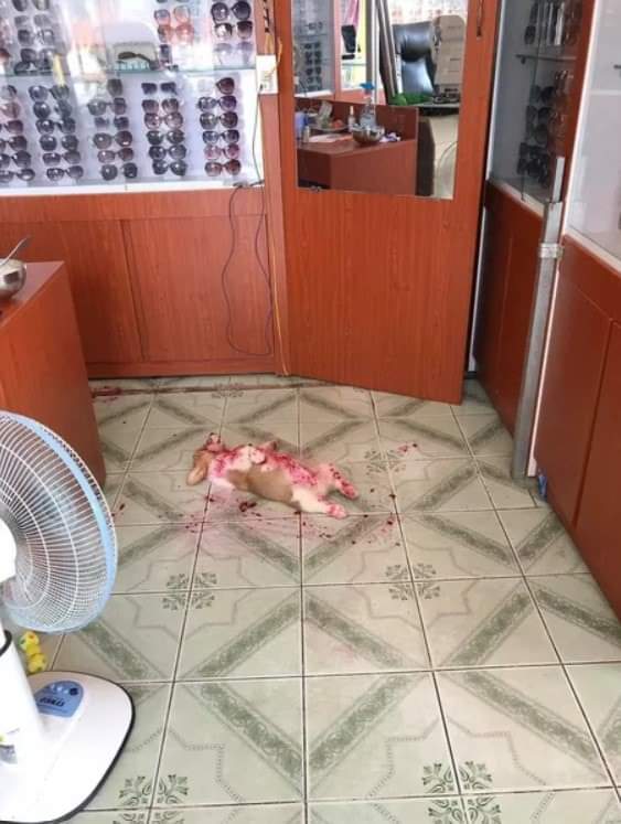 Thoughts of Luco tweet media