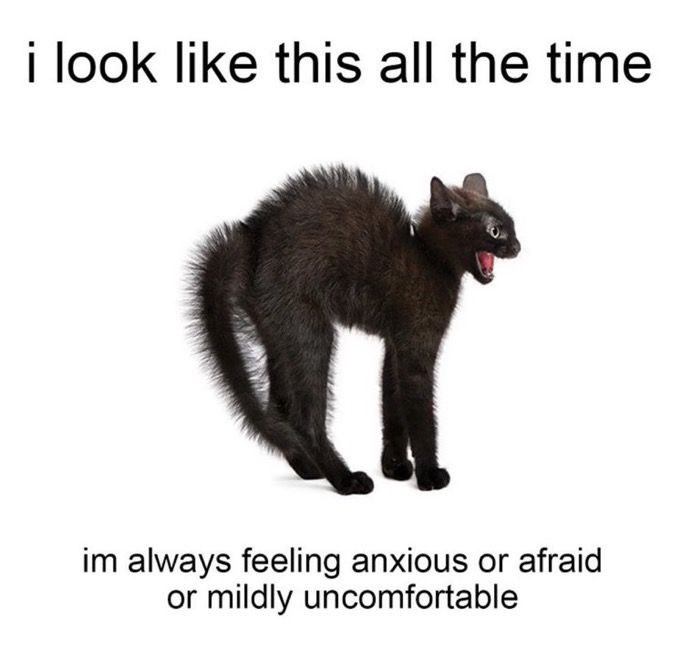 ︎ ︎ ︎ ︎ ︎ ︎ ︎ ︎ ︎ ︎ ︎ ︎ ︎ ︎ ︎ ︎ ︎ ︎ ︎ ︎ ︎ ︎ ︎ ︎ ︎ ︎ ︎ ︎ ︎ ︎ ︎ ︎ ︎ ︎ ︎ ︎ ︎