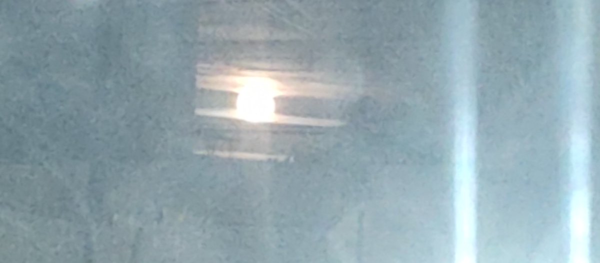 bujia_la's tweet photo. HERMOSILLO ES AGRACIADO EN MUCHOS ASPECTOS
Cómo la ven la famosa luna del lobo 🥮 no se quiere ir !!
No soy bueno para las fotos pero voltea al cielo a verla #Hermos@ https://t.co/uMAF0t976z