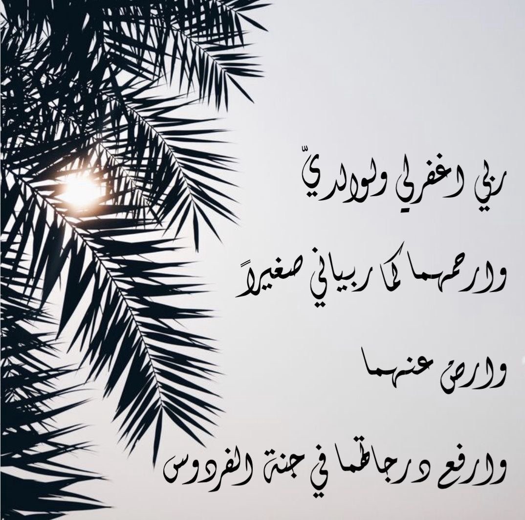 fa_to31's tweet photo. https://t.co/Ya0qoblcjK